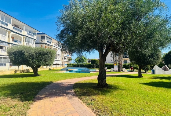 Rynek Wtórny - Bungalow - Torrevieja - LA MATA
