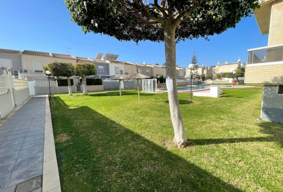 Rynek Wtórny - Apartament - Torrevieja - Nueva Torrevieja - Aguas Nuevas